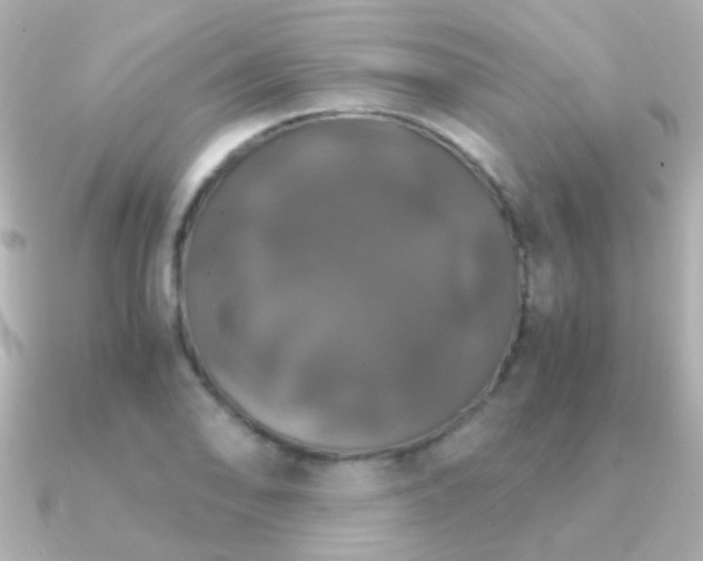 X0000091201078200708091303