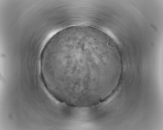 X0000091201079200708091303