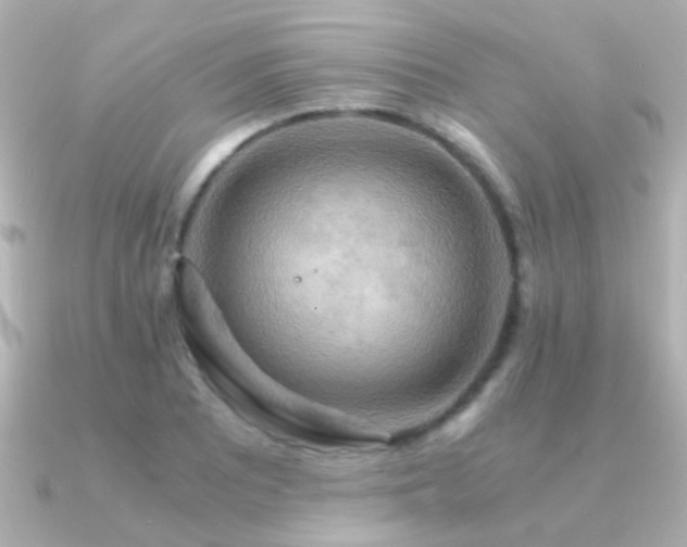 X0000091201081200708091303