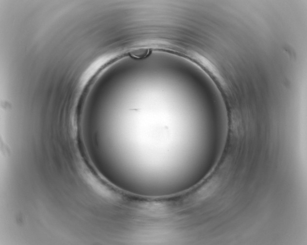 X0000091201082200708091303