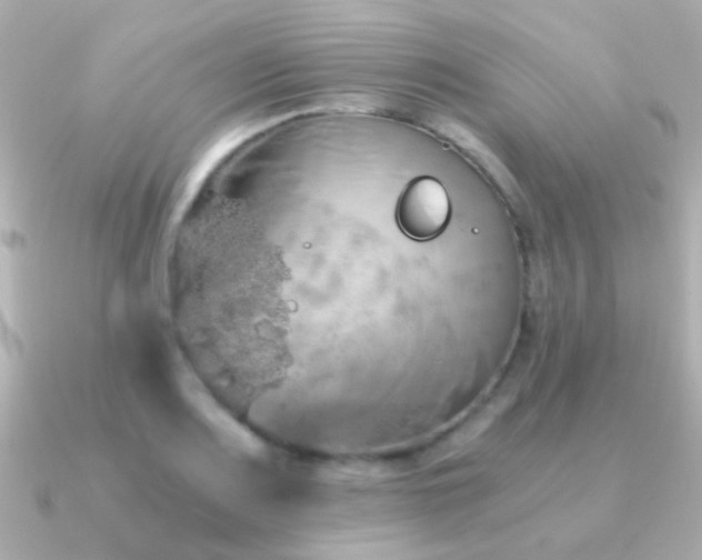 X0000091201083200708091303