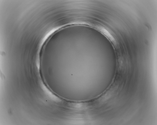 X0000091201084200708091303