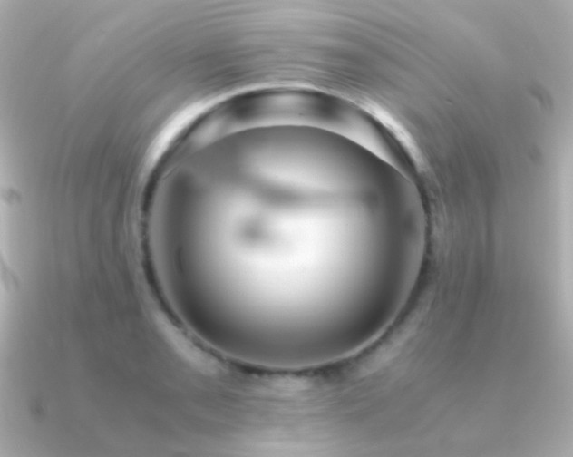 X0000091201085200708091303