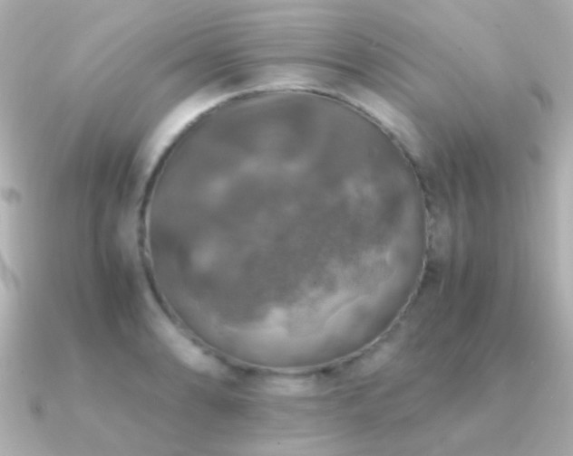 X0000091201086200708091303