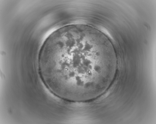 X0000091201087200708091303