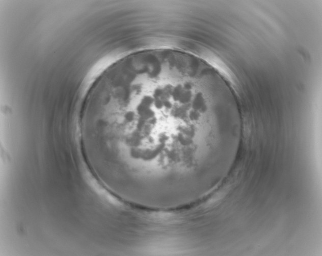 X0000091201088200708091303