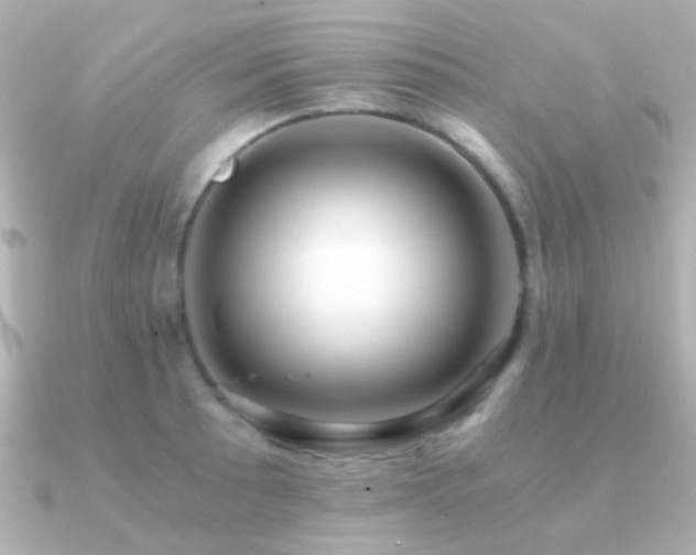 X0000091201089200708091303