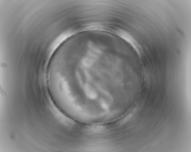 X0000091201090200708091303