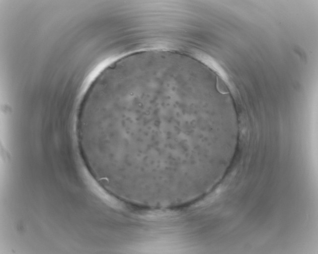 X0000091201091200708091303