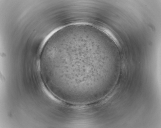 X0000091201092200708091303