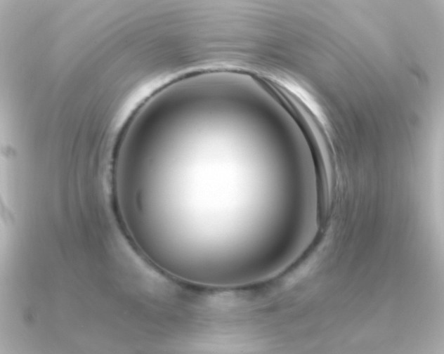 X0000091201093200708091303