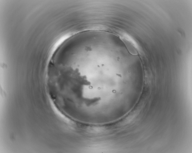 X0000091201095200708091303