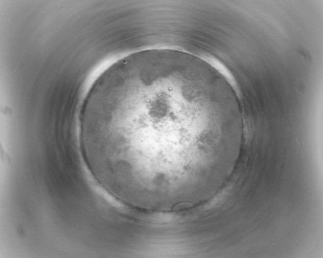 X0000091201096200708091303