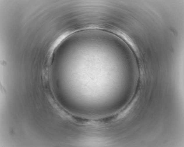 X0000091201097200708091302