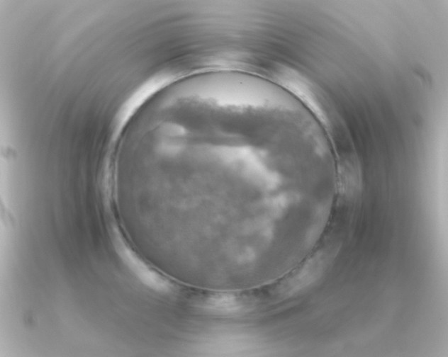 X0000091201098200708091302