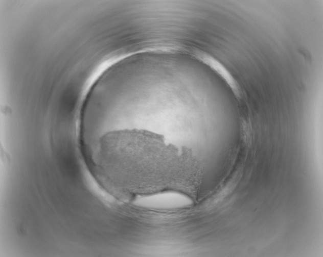 X0000091201099200708091302