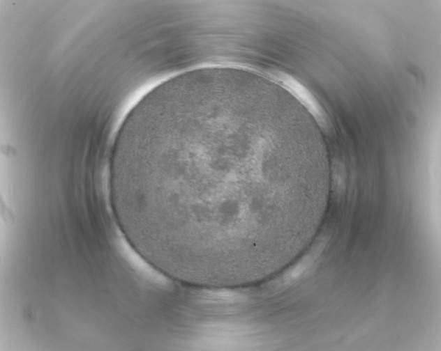 X0000091201100200708091302