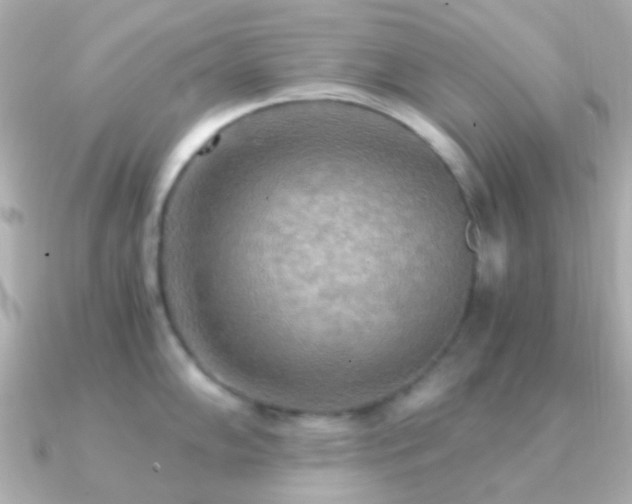 X0000091201102200708091302
