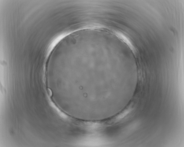X0000091201103200708091302