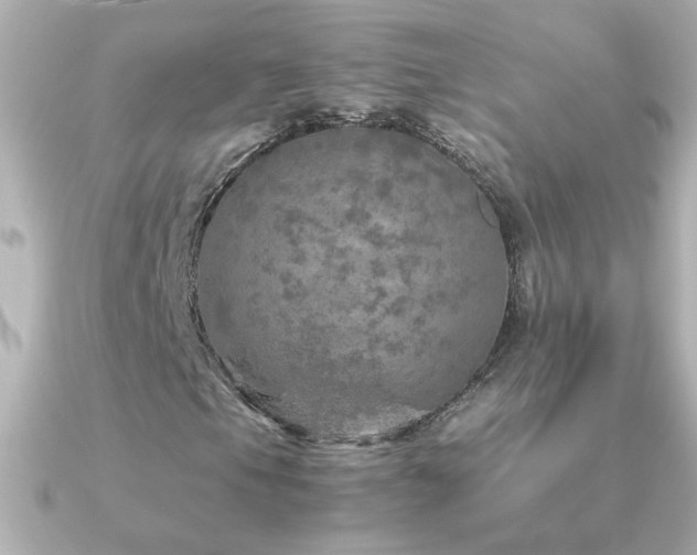 X0000091201105200708091302