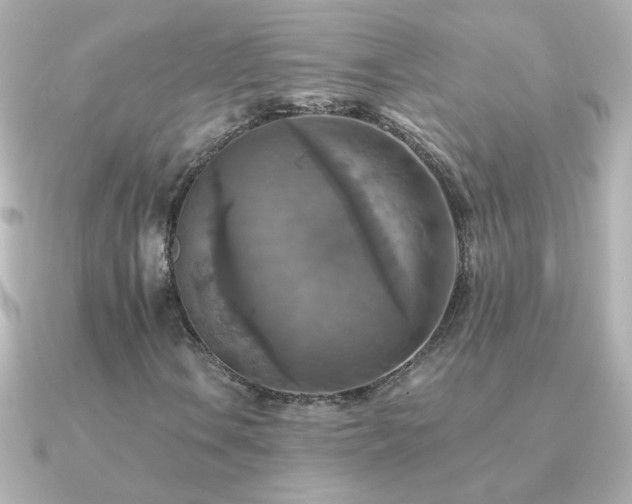 X0000091201106200708091302