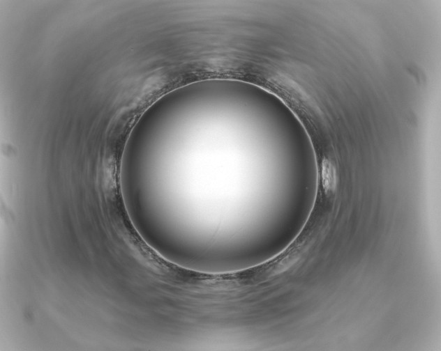 X0000091201107200708091302