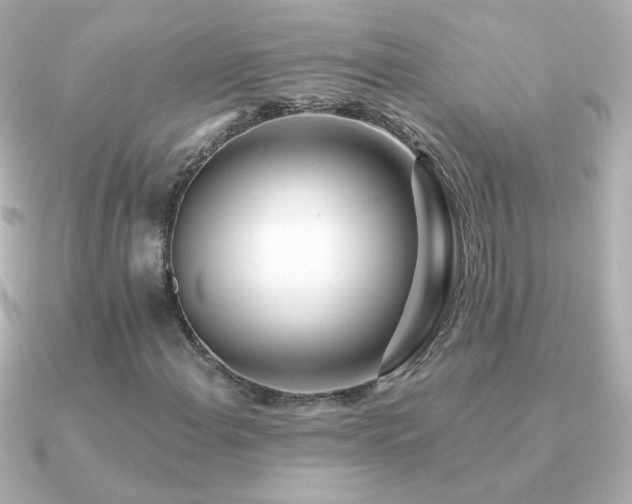 X0000091201108200708091302