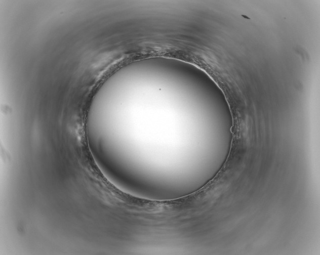 X0000091201109200708091302