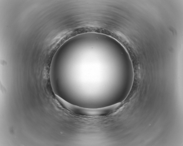 X0000091201110200708091302