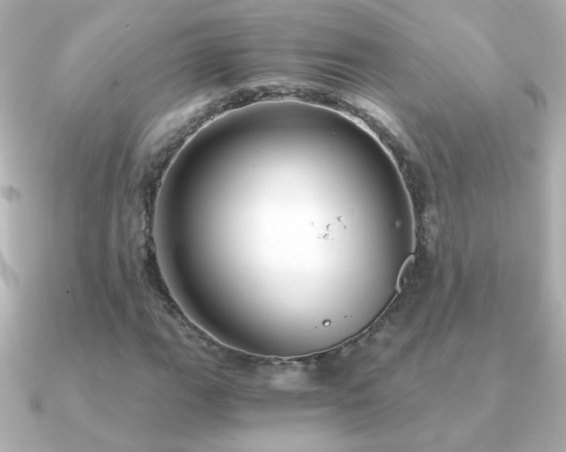 X0000091201111200708091302