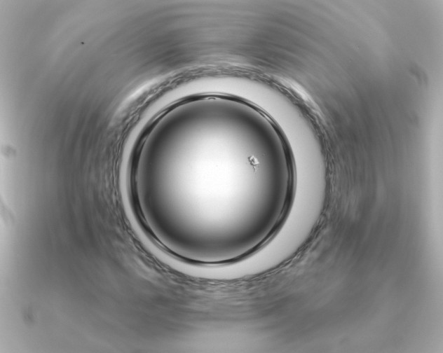 X0000091201112200708091302