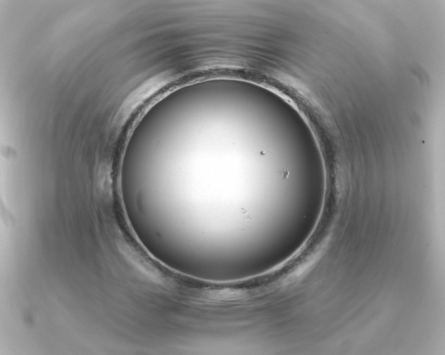 X0000091201113200708091302