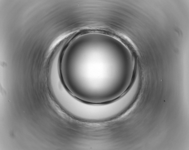 X0000091201114200708091302