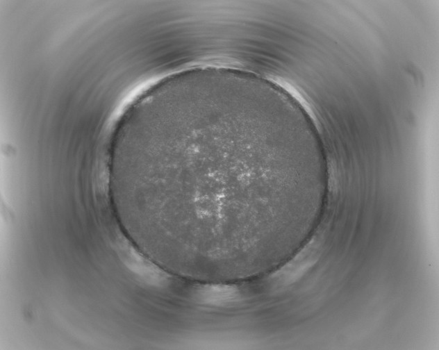 X0000091201115200708091302