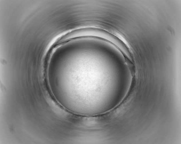 X0000091201116200708091302