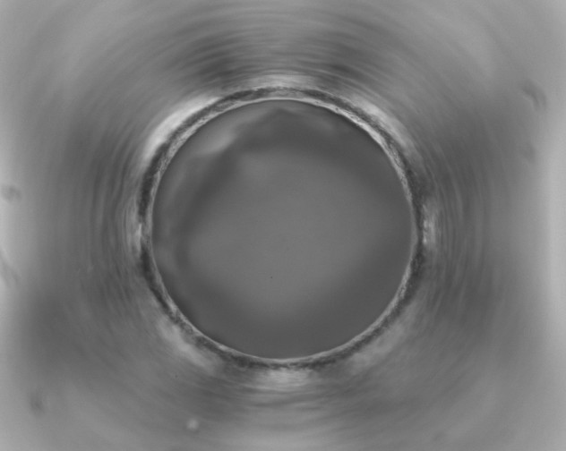 X0000091201117200708091302