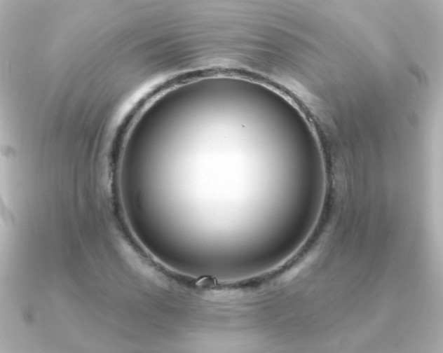X0000091201118200708091302