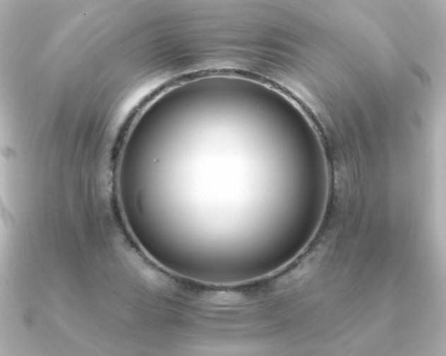 X0000091201119200708091302