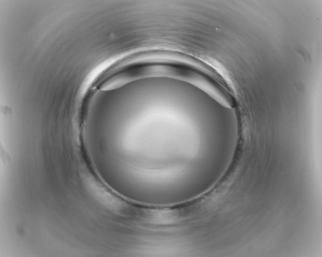 X0000091201120200708091302