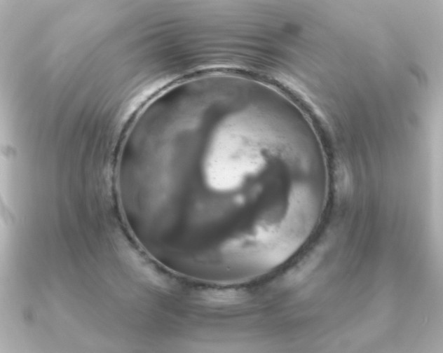 X0000091201121200708091302