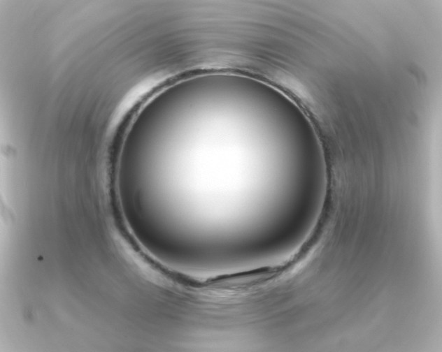 X0000091201122200708091302