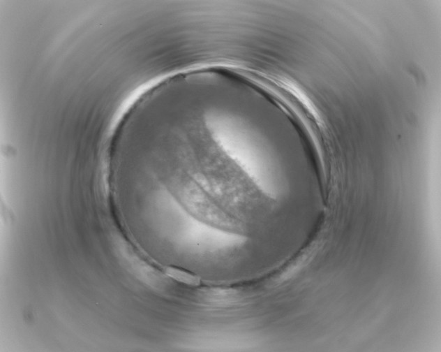 X0000091201124200708091302