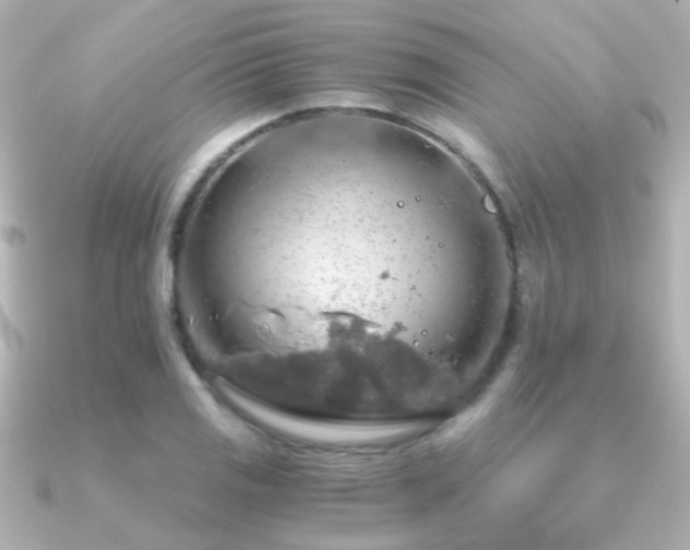 X0000091201125200708091302