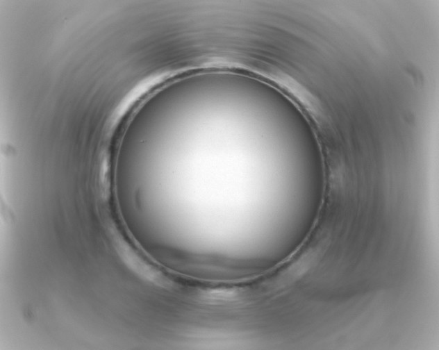 X0000091201126200708091302
