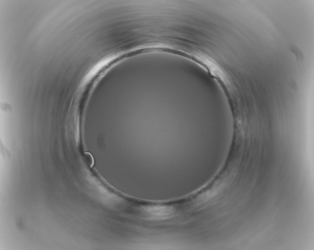 X0000091201127200708091302