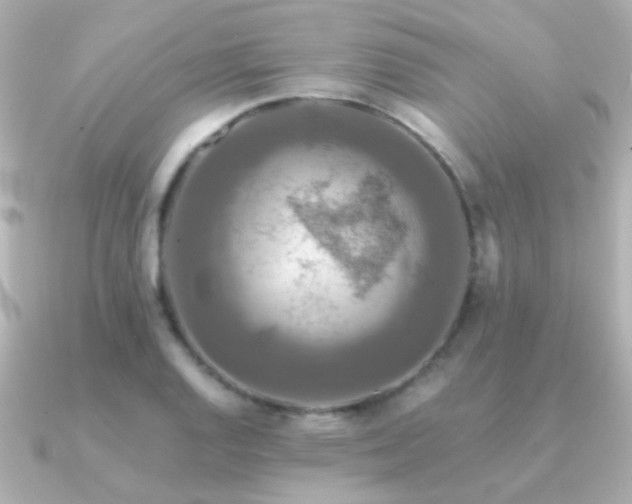 X0000091201128200708091302