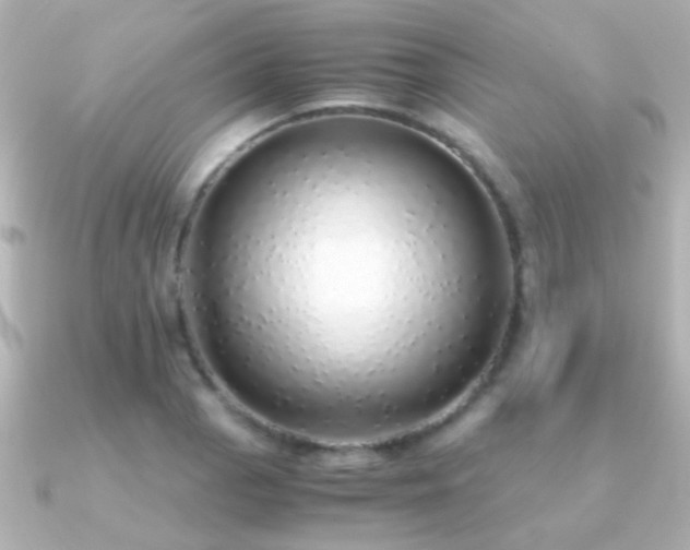 X0000091201129200708091302