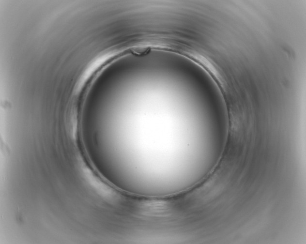 X0000091201131200708091302