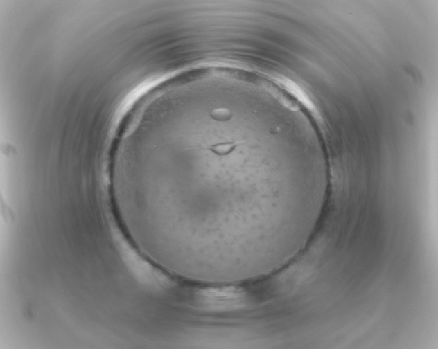 X0000091201133200708091302