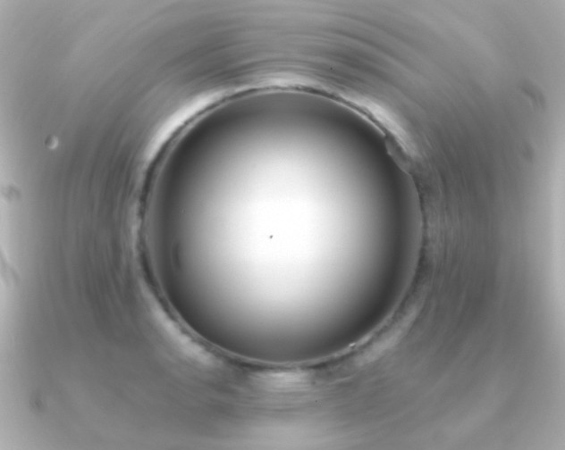 X0000091201134200708091302